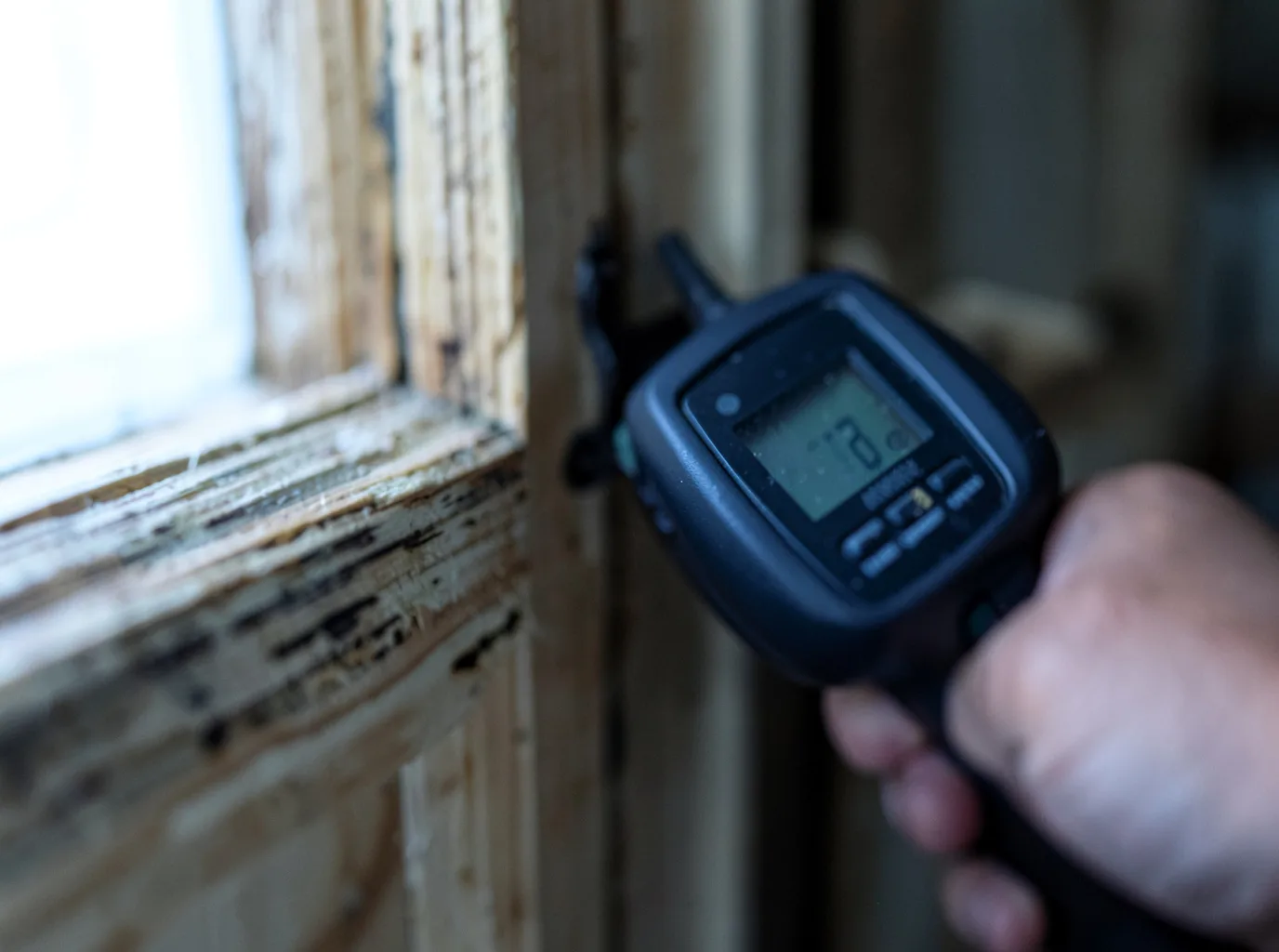 Commercial Water Damage Restoration in Presidio, TX